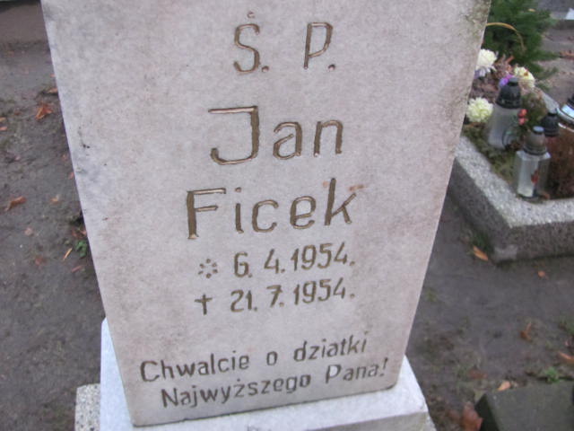 Jan Ficek 1954 Bieruń Stary Bartłomieja Apostoła - Grobonet - Wyszukiwarka osób pochowanych