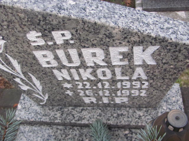 Nikola Burek 1992 Bieruń Stary Bartłomieja Apostoła - Grobonet - Wyszukiwarka osób pochowanych