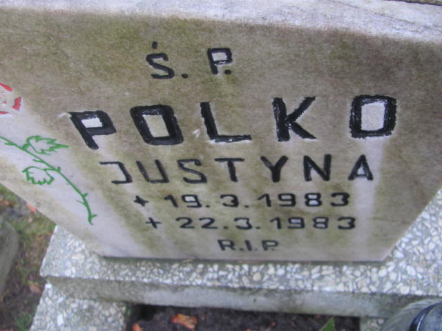 Grób Henryk Polko