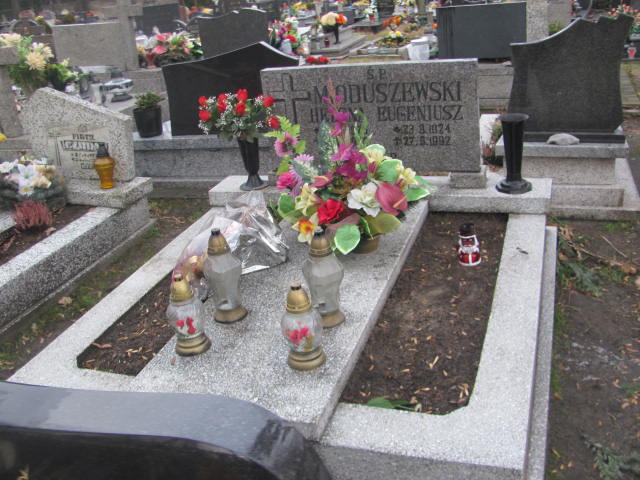 Grób Andrzej Mioduszewski