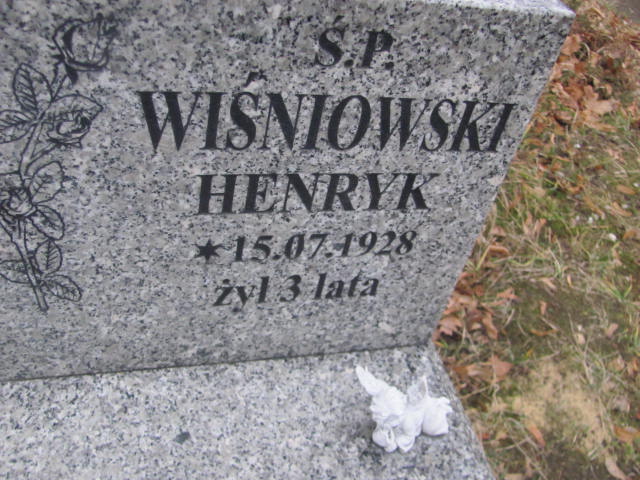 Grób Henryk Wiśniowski